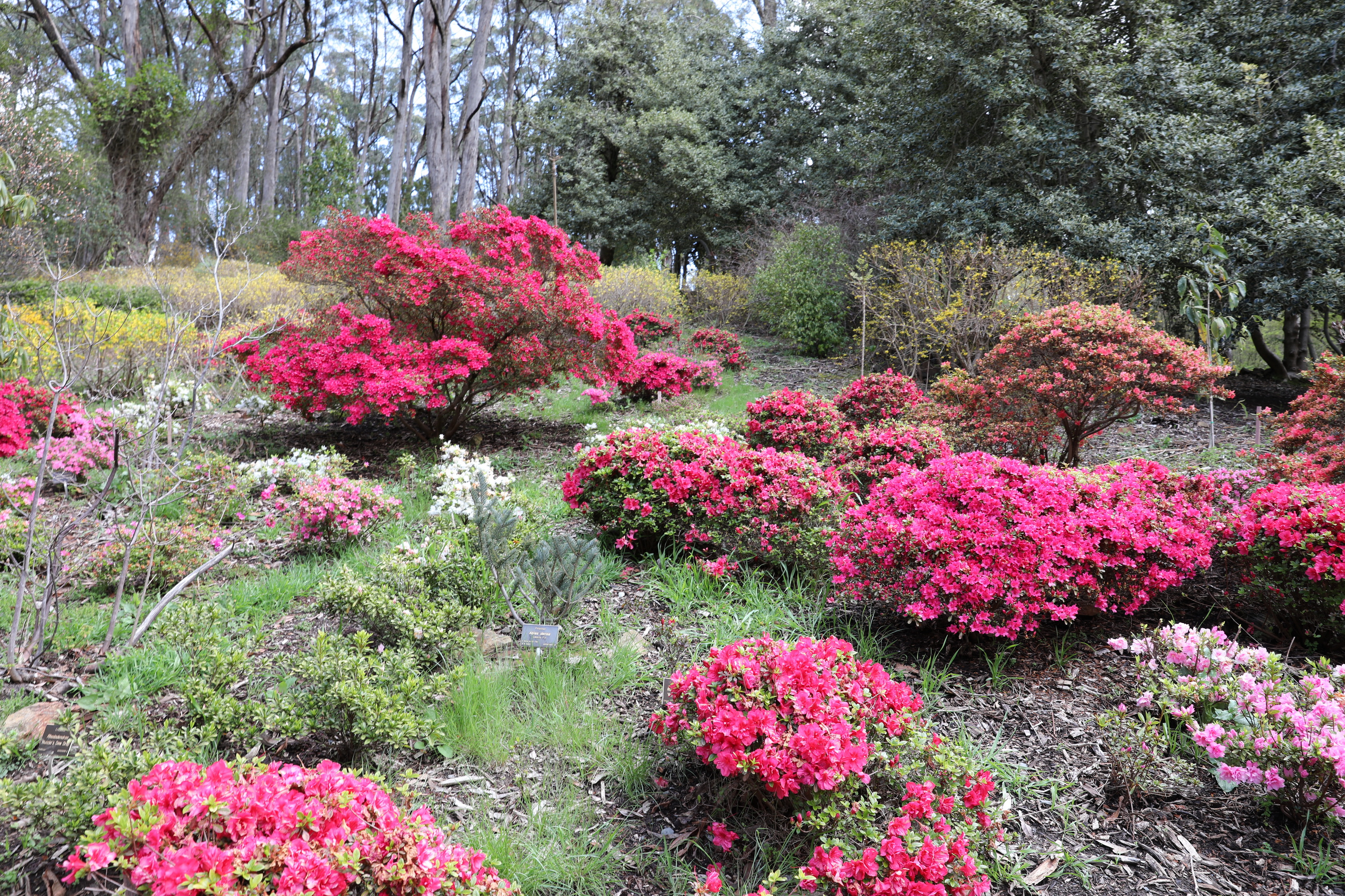 2019 09 21 15 13 06 Canon EOS 5D Mark IV 0008